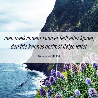 Picture 06 - Galaterne 4:23 NORSK - men trælkvinnens sønn er født efter kjødet, - Bible Verse Picture