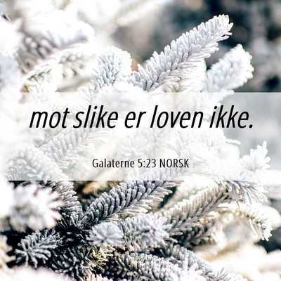 Picture 06 - Galaterne 5:23 NORSK - mot slike er loven - Bible Verse Picture