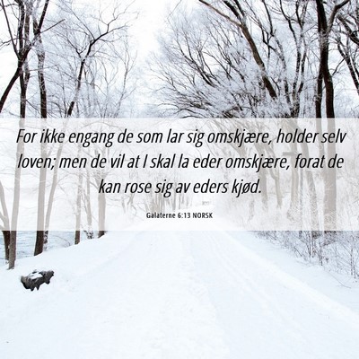 Picture 06 - Galaterne 6:13 NORSK - For ikke engang de som lar sig omskjære, holder - Bible Verse Picture