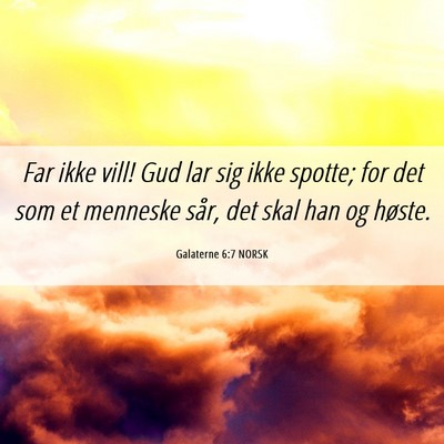 Picture 06 - Galaterne 6:7 NORSK - Far ikke vill! Gud lar sig ikke spotte; for det - Bible Verse Picture