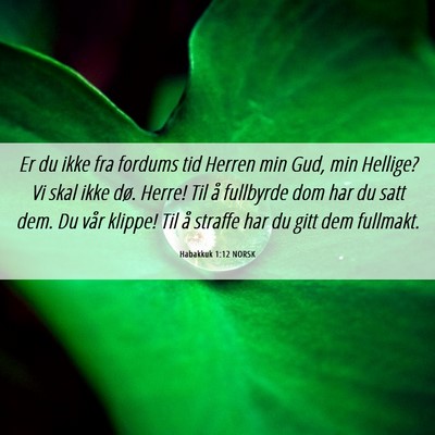 Picture 06 - Habakkuk 1:12 NORSK - Er du ikke fra fordums tid Herren min Gud, min - Bible Verse Picture