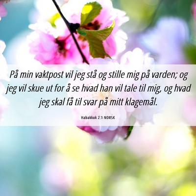Picture 06 - Habakkuk 2:1 NORSK - På min vaktpost vil jeg stå og stille mig på - Bible Verse Picture