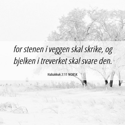 Picture 06 - Habakkuk 2:11 NORSK - for stenen i veggen skal skrike, og bjelken i - Bible Verse Picture