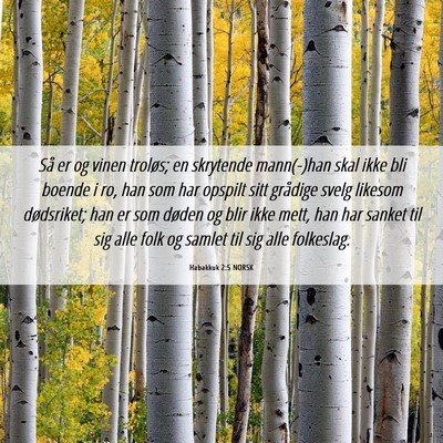 Picture 06 - Habakkuk 2:5 NORSK - Så er og vinen troløs; en skrytende mann(-)han - Bible Verse Picture