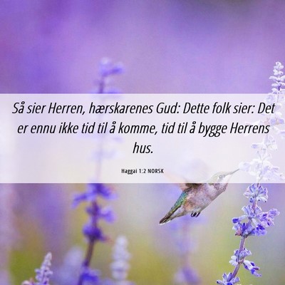 Picture 06 - Haggai 1:2 NORSK - Så sier Herren, hærskarenes Gud: Dette folk - Bible Verse Picture