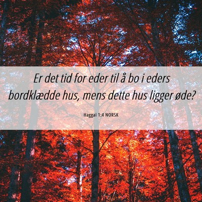 Picture 06 - Haggai 1:4 NORSK - Er det tid for eder til å bo i eders bordklædde - Bible Verse Picture