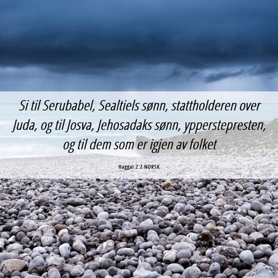 Picture 06 - Haggai 2:2 NORSK - Si til Serubabel, Sealtiels sønn, stattholderen - Bible Verse Picture