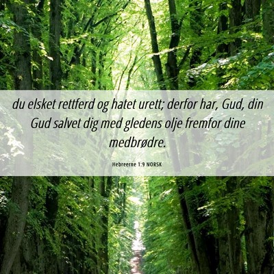 Picture 06 - Hebreerne 1:9 NORSK - du elsket rettferd og hatet urett; derfor har, - Bible Verse Picture