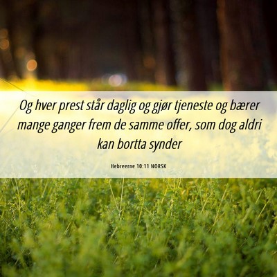 Picture 06 - Hebreerne 10:11 NORSK - Og hver prest står daglig og gjør tjeneste og - Bible Verse Picture