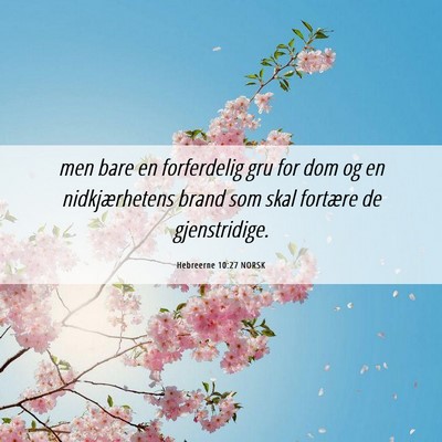 Picture 06 - Hebreerne 10:27 NORSK - men bare en forferdelig gru for dom og en - Bible Verse Picture