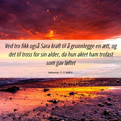 Picture 06 - Hebreerne 11:11 NORSK - Ved tro fikk også Sara kraft til å grunnlegge - Bible Verse Picture