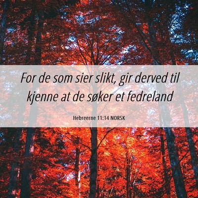 Picture 06 - Hebreerne 11:14 NORSK - For de som sier slikt, gir derved til kjenne at - Bible Verse Picture