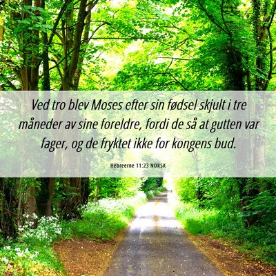 Picture 06 - Hebreerne 11:23 NORSK - Ved tro blev Moses efter sin fødsel skjult i tre - Bible Verse Picture