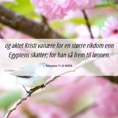 Picture 06 - Hebreerne 11:26 NORSK - og aktet Kristi vanære for en større rikdom enn - Bible Verse Picture