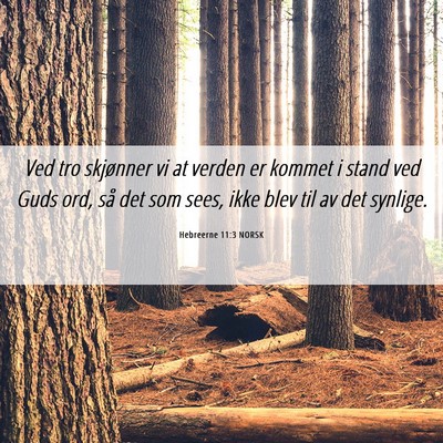 Picture 06 - Hebreerne 11:3 NORSK - Ved tro skjønner vi at verden er kommet i stand - Bible Verse Picture