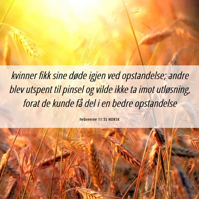 Picture 06 - Hebreerne 11:35 NORSK - kvinner fikk sine døde igjen ved opstandelse; - Bible Verse Picture