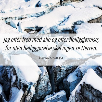 Picture 06 - Hebreerne 12:14 NORSK - Jag efter fred med alle og efter helliggjørelse; - Bible Verse Picture