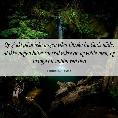 Picture 06 - Hebreerne 12:15 NORSK - Og gi akt på at ikke nogen viker tilbake fra - Bible Verse Picture