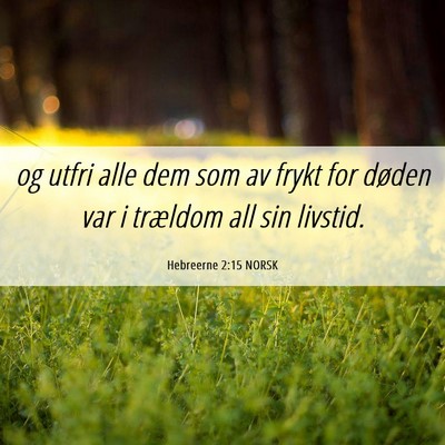 Picture 06 - Hebreerne 2:15 NORSK - og utfri alle dem som av frykt for døden var i - Bible Verse Picture