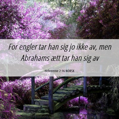 Picture 06 - Hebreerne 2:16 NORSK - For engler tar han sig jo ikke av, men Abrahams - Bible Verse Picture