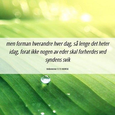 Picture 06 - Hebreerne 3:13 NORSK - men forman hverandre hver dag, så lenge det - Bible Verse Picture