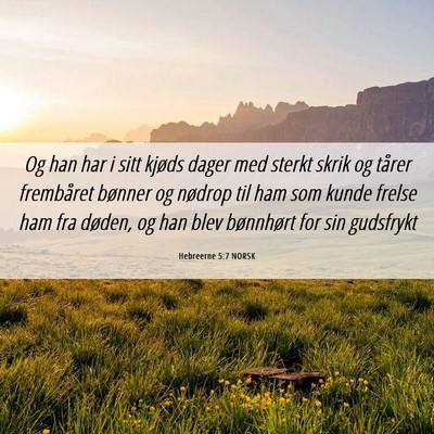 Picture 06 - Hebreerne 5:7 NORSK - Og han har i sitt kjøds dager med sterkt skrik - Bible Verse Picture