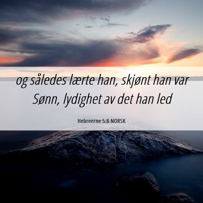 Picture 06 - Hebreerne 5:8 NORSK - og således lærte han, skjønt han var Sønn, - Bible Verse Picture
