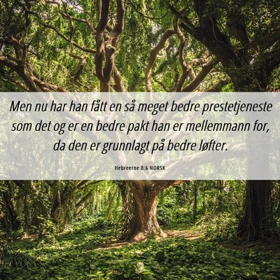 Picture 06 - Hebreerne 8:6 NORSK - Men nu har han fått en så meget bedre - Bible Verse Picture