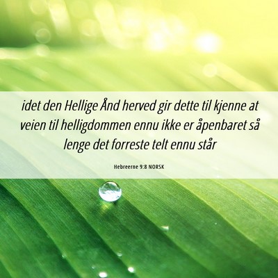 Picture 06 - Hebreerne 9:8 NORSK - idet den Hellige Ånd herved gir dette til kjenne - Bible Verse Picture