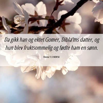Picture 06 - Hosea 1:3 NORSK - Da gikk han og ektet Gomer, Dibla'ms datter, og - Bible Verse Picture
