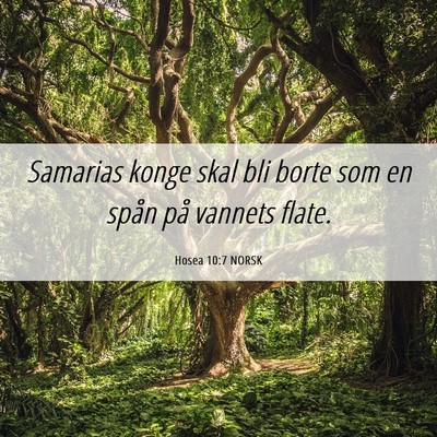 Picture 06 - Hosea 10:7 NORSK - Samarias konge skal bli borte som en spån på - Bible Verse Picture