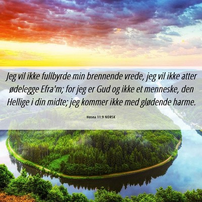 Picture 06 - Hosea 11:9 NORSK - Jeg vil ikke fullbyrde min brennende vrede, jeg - Bible Verse Picture