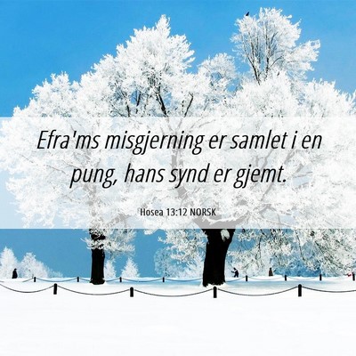 Picture 06 - Hosea 13:12 NORSK - Efra'ms misgjerning er samlet i en pung, hans - Bible Verse Picture