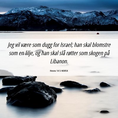 Picture 06 - Hosea 14:5 NORSK - Jeg vil være som dugg for Israel; han skal - Bible Verse Picture