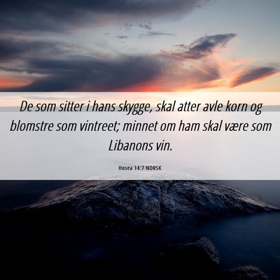 Picture 06 - Hosea 14:7 NORSK - De som sitter i hans skygge, skal atter avle korn - Bible Verse Picture
