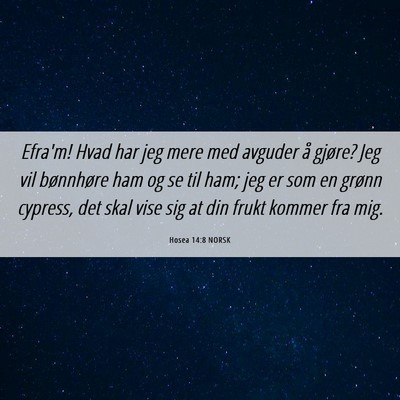 Picture 06 - Hosea 14:8 NORSK - Efra'm! Hvad har jeg mere med avguder å gjøre? - Bible Verse Picture