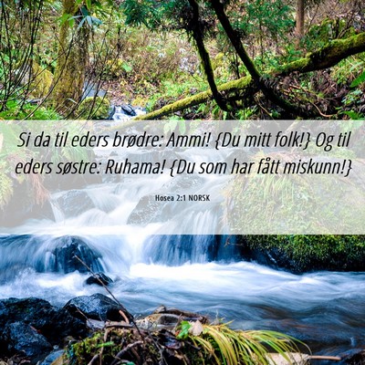 Picture 06 - Hosea 2:1 NORSK - Si da til eders brødre: Ammi! {Du mitt folk!} Og - Bible Verse Picture