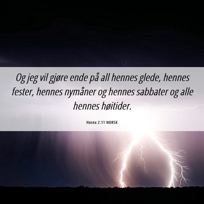 Picture 06 - Hosea 2:11 NORSK - Og jeg vil gjøre ende på all hennes glede, - Bible Verse Picture