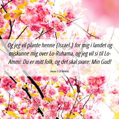 Picture 06 - Hosea 2:23 NORSK - Og jeg vil plante henne {Israel.} for mig i - Bible Verse Picture