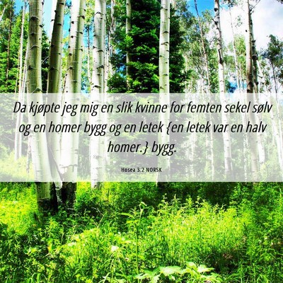 Picture 06 - Hosea 3:2 NORSK - Da kjøpte jeg mig en slik kvinne for femten - Bible Verse Picture