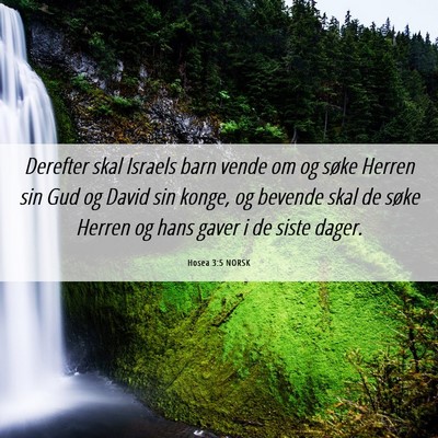 Picture 06 - Hosea 3:5 NORSK - Derefter skal Israels barn vende om og søke - Bible Verse Picture