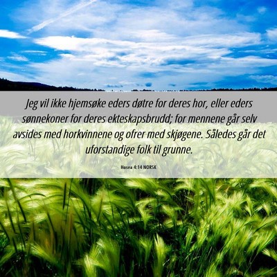 Picture 06 - Hosea 4:14 NORSK - Jeg vil ikke hjemsøke eders døtre for deres - Bible Verse Picture