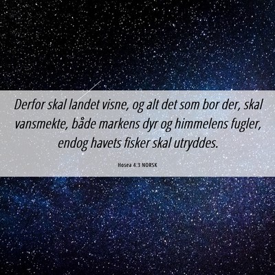 Picture 06 - Hosea 4:3 NORSK - Derfor skal landet visne, og alt det som bor der, - Bible Verse Picture