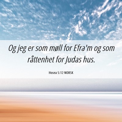 Picture 06 - Hosea 5:12 NORSK - Og jeg er som møll for Efra'm og som råttenhet - Bible Verse Picture