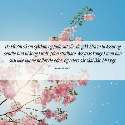 Picture 06 - Hosea 5:13 NORSK - Da Efra'm så sin sykdom og Juda sitt sår, da - Bible Verse Picture