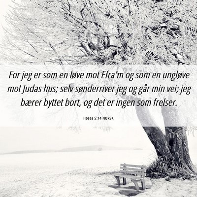 Picture 06 - Hosea 5:14 NORSK - For jeg er som en løve mot Efra'm og som en - Bible Verse Picture