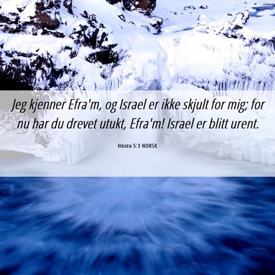 Picture 06 - Hosea 5:3 NORSK - Jeg kjenner Efra'm, og Israel er ikke skjult for - Bible Verse Picture