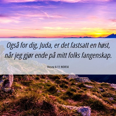 Picture 06 - Hosea 6:11 NORSK - Også for dig, Juda, er det fastsatt en høst, - Bible Verse Picture