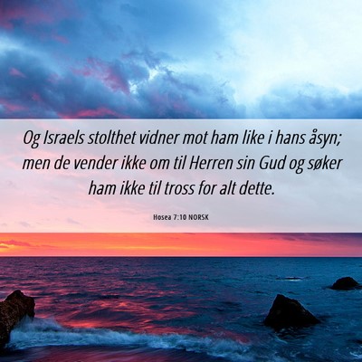 Picture 06 - Hosea 7:10 NORSK - Og Israels stolthet vidner mot ham like i hans - Bible Verse Picture