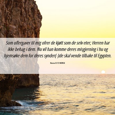 Picture 06 - Hosea 8:13 NORSK - Som offergaver til mig ofrer de kjøtt som de - Bible Verse Picture